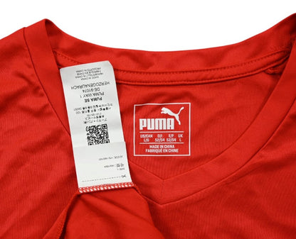 Denmark Warmup Jersey